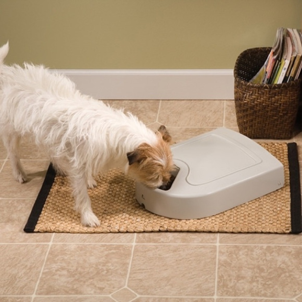 PetSafe 5 Meal Automatic Programmable Pet Feeder for Cats Dogs Small Pets - Picture 5 of 12